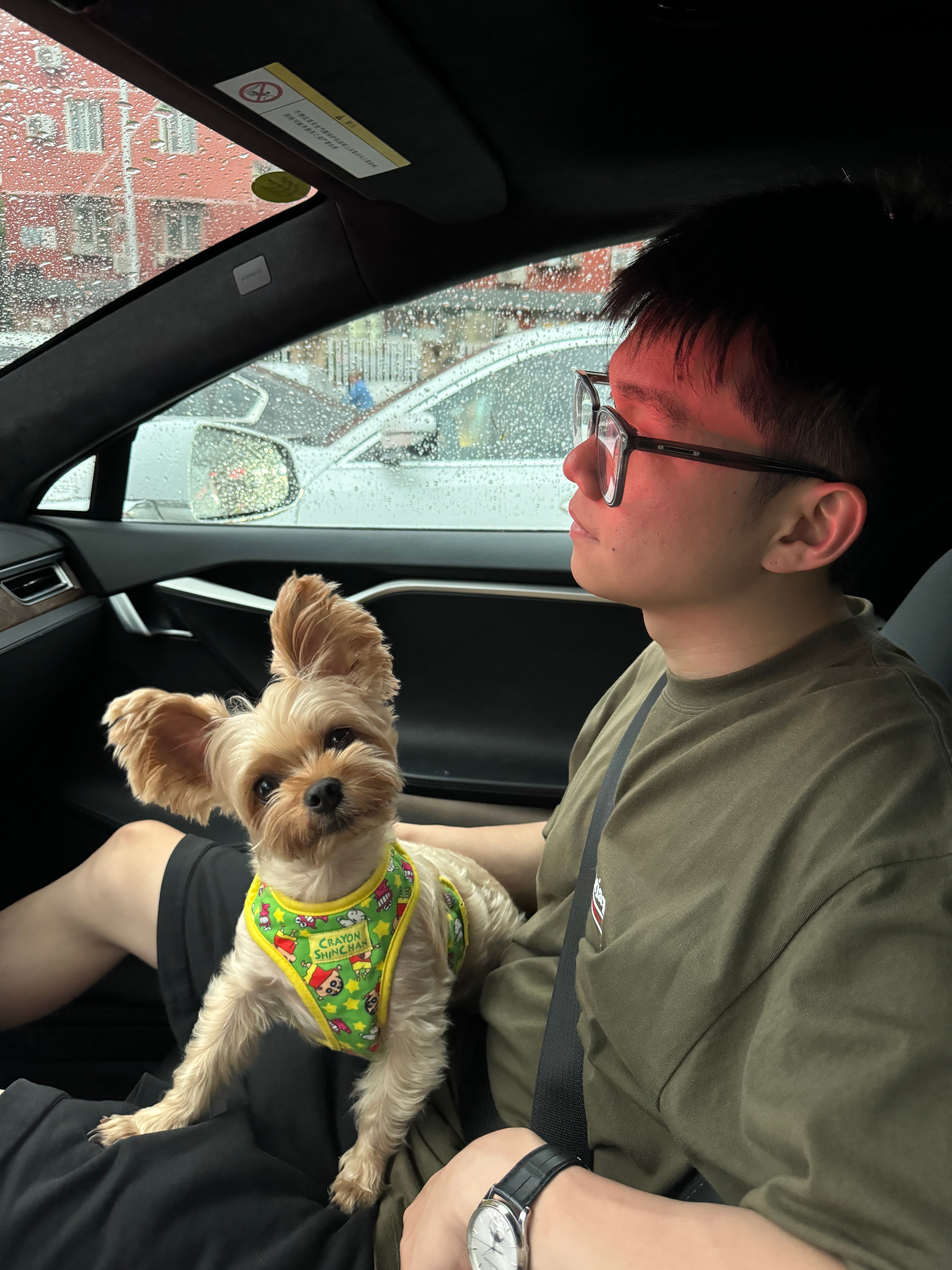My dog 2